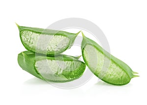 Aloe vera fresh leaf. isolated over white