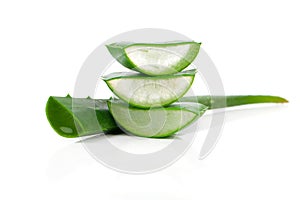 Aloe vera fresh leaf