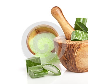 Aloe vera fresh leaf