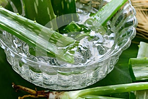 Aloe vera gel in bowl with on wooden table