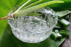 Aloe vera gel in bowl with on wooden table