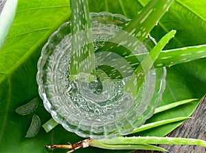 Aloe vera gel in bowl with on wooden table