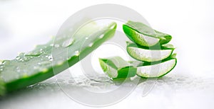 Aloe Vera gel closeup. Sliced Aloevera natural organic renewal cosmetics, alternative medicine. Organic skincare