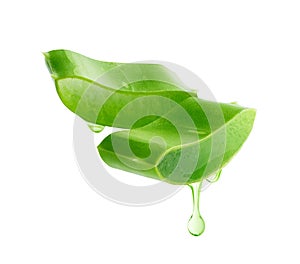 Aloe vera gel dripping from aloe vera slice