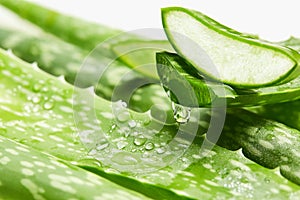 Aloe vera gel dripping from aloe vera slice