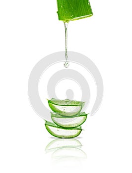 Aloe vera gel dripping over sliced leaves isolated on white background.