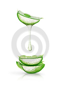 Aloe vera gel dripping over sliced leaves isolated on white background. Skin and body care