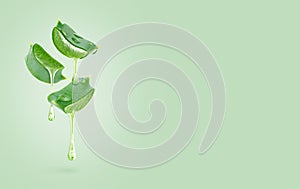 Aloe vera gel dripping from sliced leaves isolated on green background. Copy space.