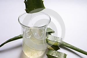 Aloe vera Gel that has both substances to cure scars And used to produce health drinks Or cosmetics that are good for the skin