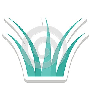 Aloe Vera, Grass Shrub Color Isolated Vector Icon