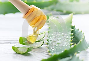 Aloe Vera with honey closeup on white wooden background. Sliced Aloevera natural organic renewal cosmetics, alternative medicine