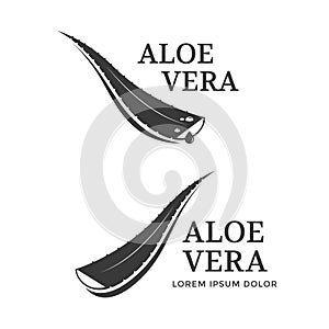 Aloe Vera icon