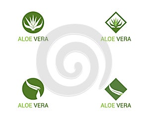 Aloe vera icon logo template vector
