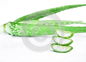 Aloe vera isolated on white