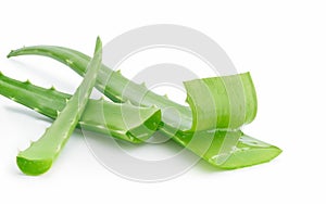 Aloe Vera isolated on white backgroundo photo