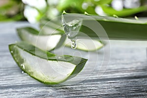 Aloe vera juice dripping from green leaf, closeup