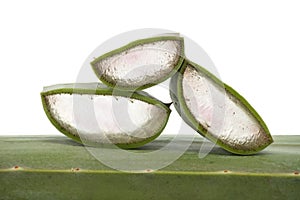 Aloe Vera leaf slices isolated on white background