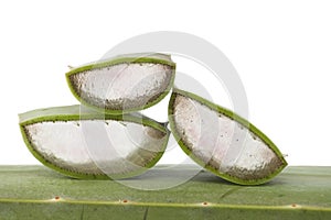 Aloe Vera leaf slices isolated on white background