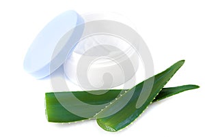 Aloe vera leaves and cream