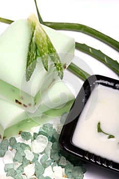 Aloe vera leaves, handmade soap, moisturizer and b