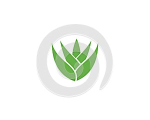 Aloe vera logo vector