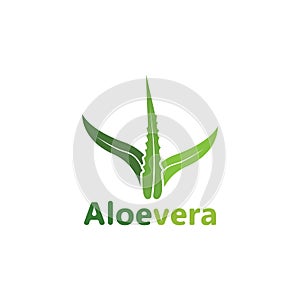 Aloe vera logo vector illustration template