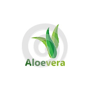 Aloe vera logo vector illustration template