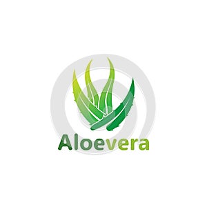 Aloe vera logo vector illustration template