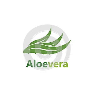 Aloe vera logo vector illustration template