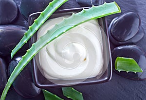 Aloe Vera with Lotion Box