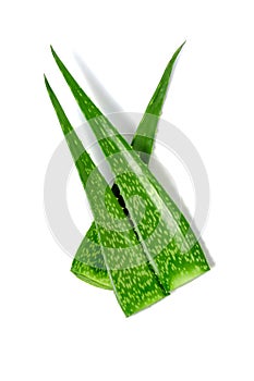 Aloe vera medicine plant, green cut pieces and leaves slices