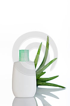 Aloe Vera moisturizer