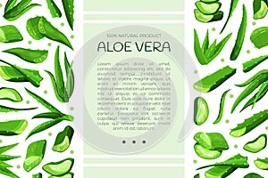 Aloe vera natural product onboard screen template. Organic eco cosmetic special offer flyer, web page, mobie app