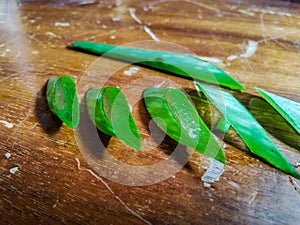 Aloe vera on one of five wooden tables Revive after a wooden table