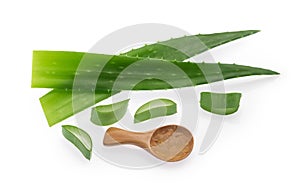 Aloe vera plant isolated white background