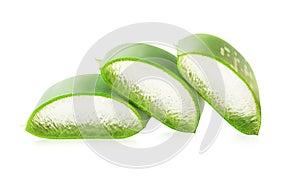 Aloe vera plant isolated on white background. Natural ingredient for herbal beauty product, cosmetology, dermatology,