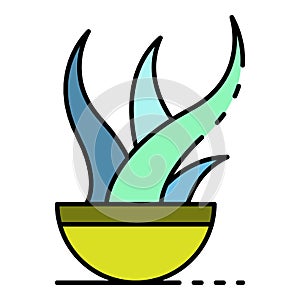 Aloe vera plant pot icon color outline vector