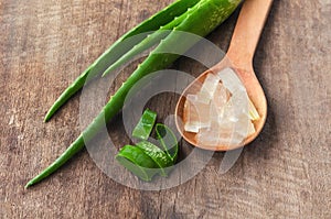 Aloe Vera plant sliced in glass on Coconut fiber