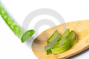 Aloe Vera Plant on White background