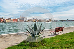 Aloe Vera plant and wooden bench at the waterfront of Giudecca canal in Venice, Italy.