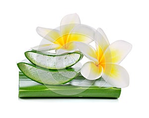 Aloe vera and Plumeria isolated on white photo