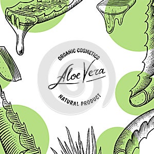 Aloe vera poster or banner. Sketch of Plant and bunch. Ingredient for herbal medicine or cosmetics. Hand drawn Vintage