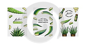 Aloe vera poster or banner. Sketch of Plant and bunch. Ingredient for herbal medicine or cosmetics. Hand drawn Vintage