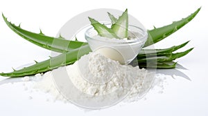Aloe vera powder with fresh aloe vera leaf and slice isolated on white background. Raw materials for the cosmetics and