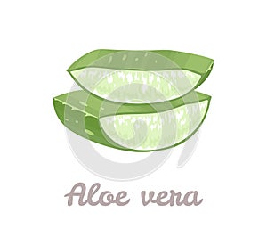 Aloe vera slices. Sliced aloe vera leaf isolated on white background.