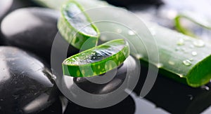 Aloe Vera slices and spa stones closeup on black background. Aloevera plant leaf gel, natural organic renewal cosmetics