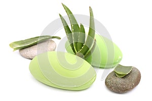 Aloe vera soap