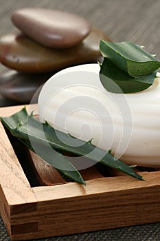 Aloe vera soap
