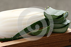 Aloe vera soap