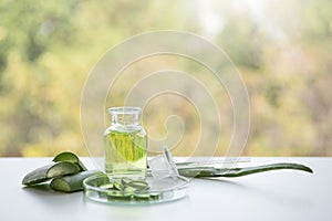 Aloe vera spa treatments on white wooden table. Healthcare and body therapy massage relaxation concept. Beauty and Healthy theme.